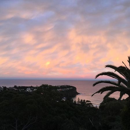 Appartamento Avalon Horizons Bilgola Esterno foto