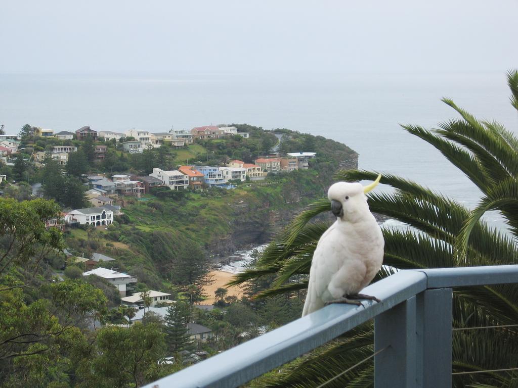 Appartamento Avalon Horizons Bilgola Esterno foto